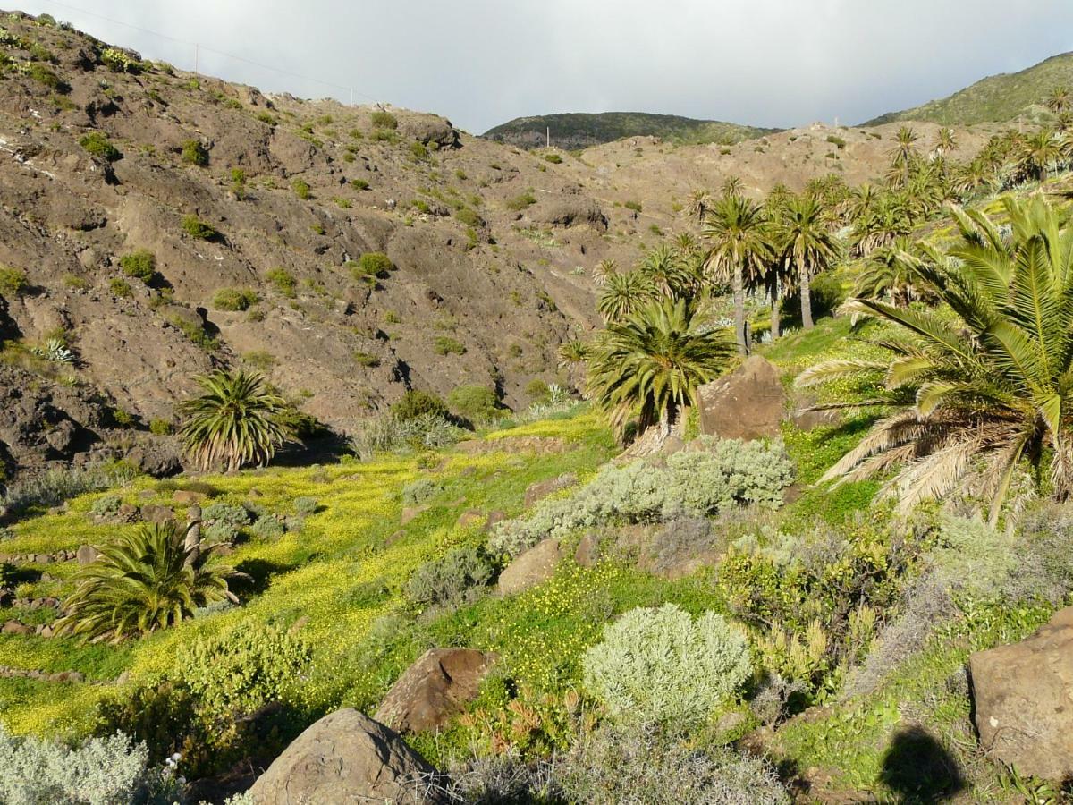 El Pirguan Holiday House, Your Oasis In La Gomera Вальеэрмосо Экстерьер фото
