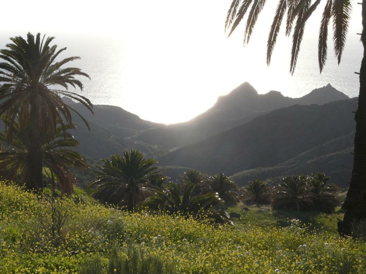 El Pirguan Holiday House, Your Oasis In La Gomera Вальеэрмосо Экстерьер фото