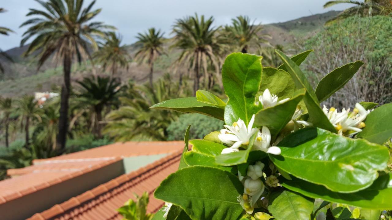 El Pirguan Holiday House, Your Oasis In La Gomera Вальеэрмосо Экстерьер фото